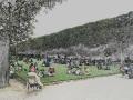 Sunday in the park .jpg